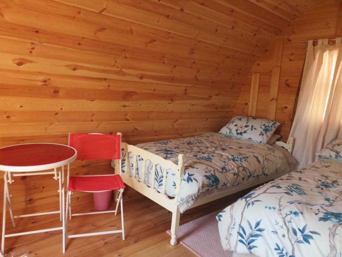 Shannon Estuary Glamping Effernan Exterior foto